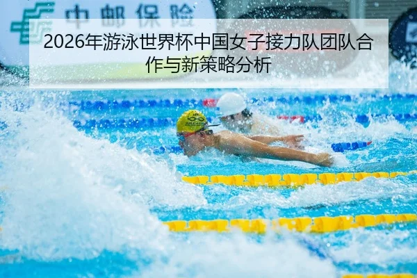 2026年游泳世界杯中国女子接力队团队合作与新策略分析
